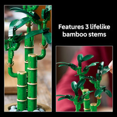 Botanicals Lucky Bamboo Building Set - Artificial Plant for Indoor Home Décor, Adults Ages 18+ - Fake Plant Decoration for Table, Desk, Office - Gift for Graduation - 10344